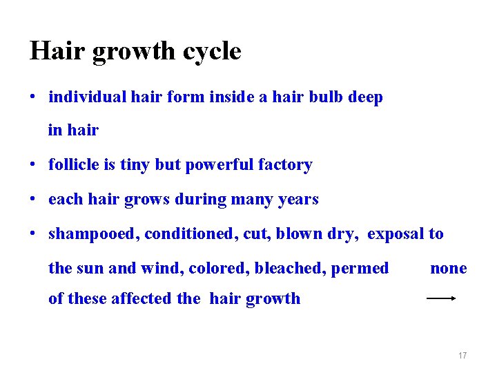 Hair growth cycle • individual hair form inside a hair bulb deep in hair