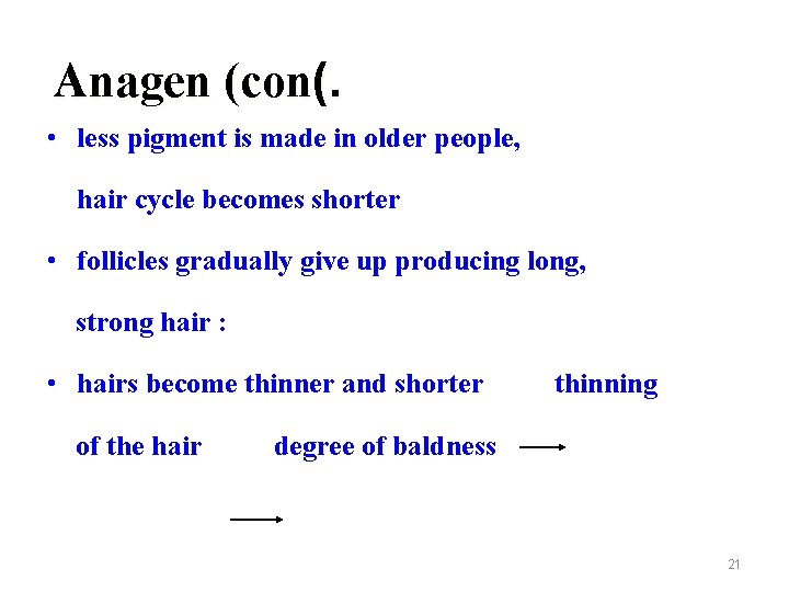 Anagen (con(. • less pigment is made in older people, hair cycle becomes shorter