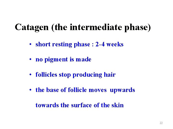 Catagen (the intermediate phase) • short resting phase : 2 -4 weeks • no