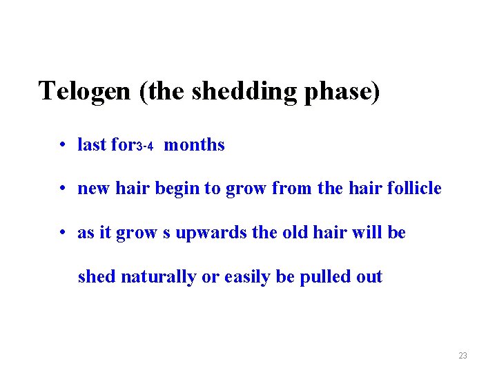 Telogen (the shedding phase) • last for 3 -4 months • new hair begin