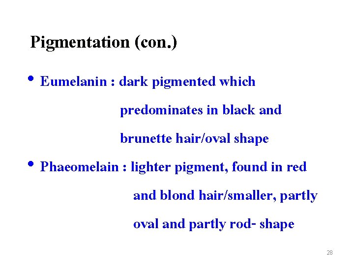 Pigmentation (con. ) • Eumelanin : dark pigmented which predominates in black and brunette