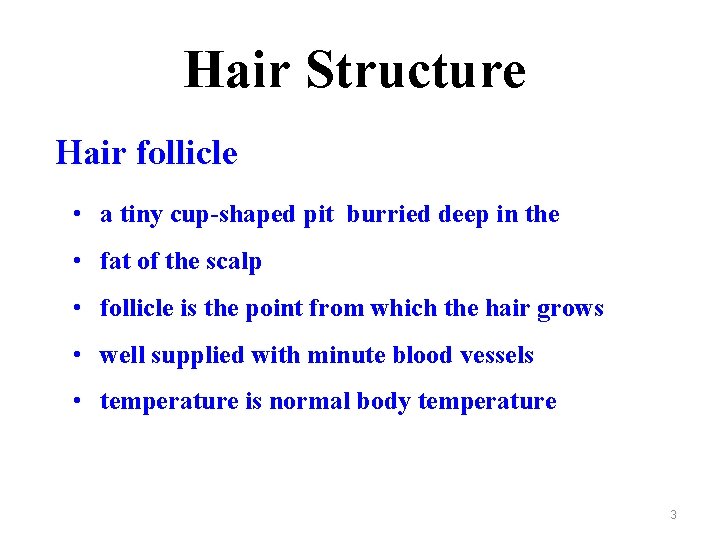 Hair Structure Hair follicle • a tiny cup-shaped pit burried deep in the •