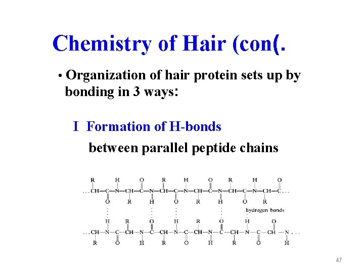 Chemistry of Hair (con(. • Organization of hair protein sets up by bonding in