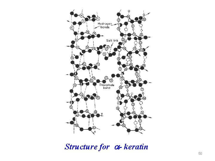 Structure for a- keratin 50 