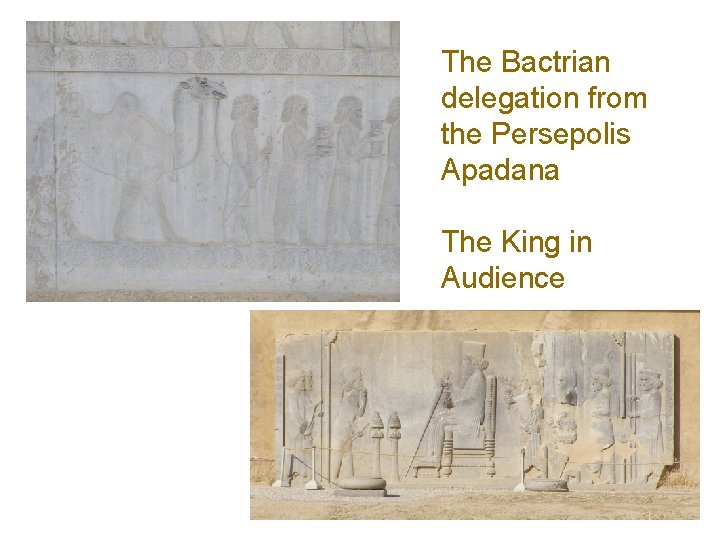 The Bactrian delegation from the Persepolis Apadana The King in Audience 