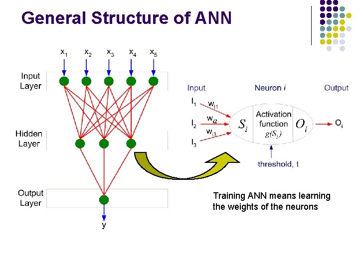 General Structure of ANN Training ANN means learning the weights of the neurons 