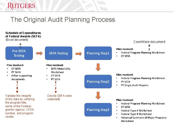 The Original Audit Planning Process Schedule of Expenditures of Federal Awards (SEFA) (Excel document)