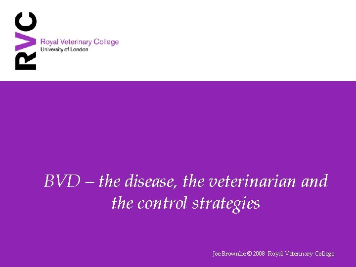 BVD – the disease, the veterinarian and the control strategies Joe Brownlie © 2008