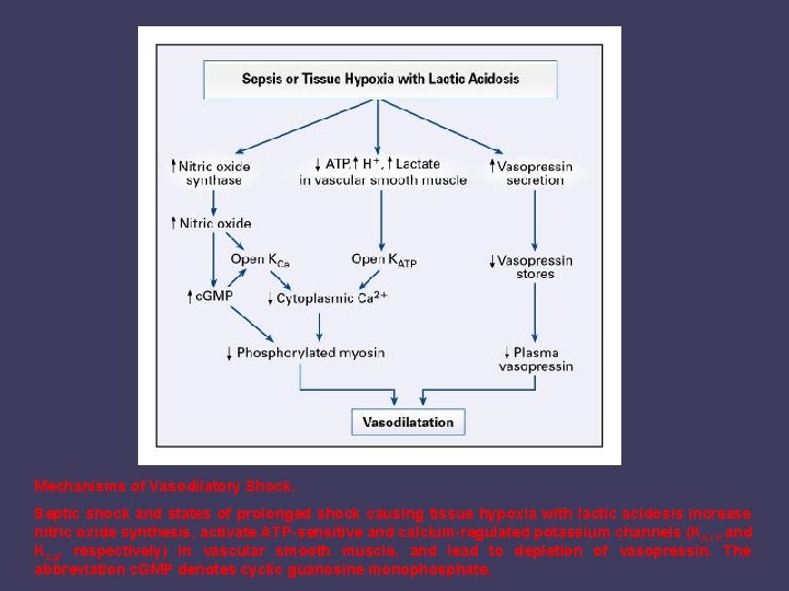 Mechanisms of Vasodilatory Shock. Septic shock and states of prolonged shock causing tissue hypoxia