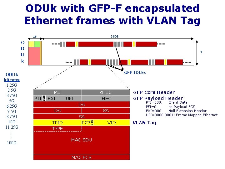 ODUk with GFP-F encapsulated Ethernet frames with VLAN Tag 16 3808 O D U