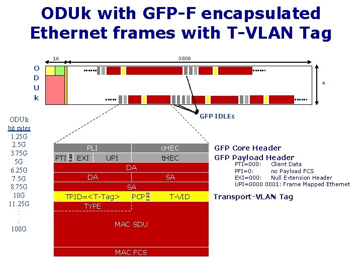 ODUk with GFP-F encapsulated Ethernet frames with T-VLAN Tag 16 3808 O D U