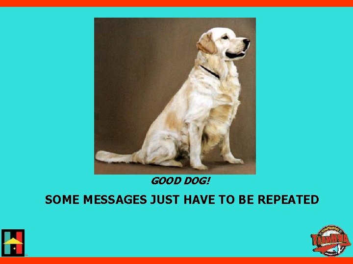 GOOD DOG! SOME MESSAGES JUST HAVE TO BE REPEATED 