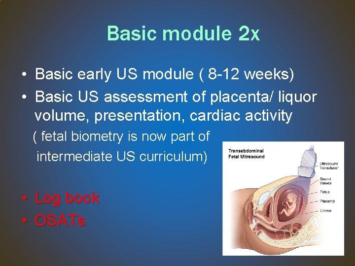 Basic module 2 x • Basic early US module ( 8 -12 weeks) •