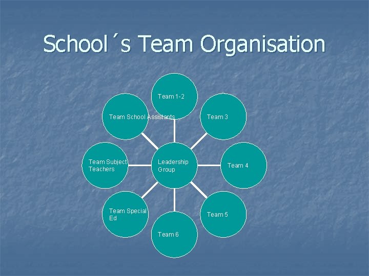 School´s Team Organisation Team 1 -2 Team School Assistants Team Subject Teachers Leadership Group