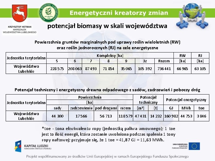 potencjał biomasy w skali województwa Powierzchnia gruntów marginalnych pod uprawy roślin wieloletnich (RW) oraz