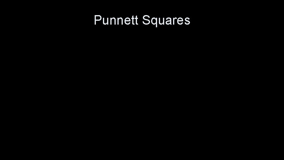 Punnett Squares 