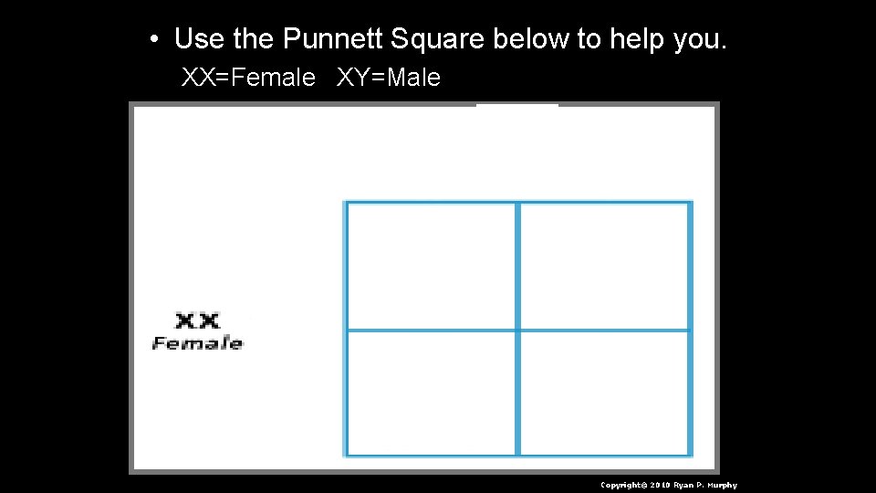  • Use the Punnett Square below to help you. XX=Female XY=Male Copyright© 2010