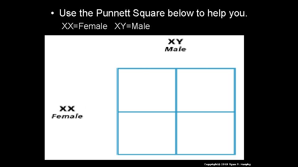  • Use the Punnett Square below to help you. XX=Female XY=Male Copyright© 2010