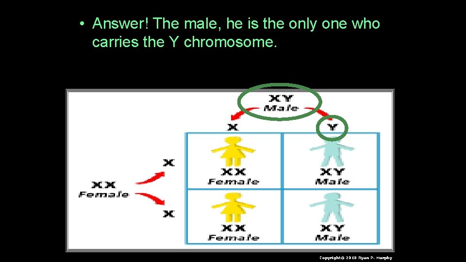  • Answer! The male, he is the only one who carries the Y