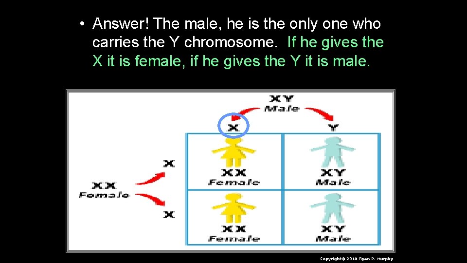  • Answer! The male, he is the only one who carries the Y