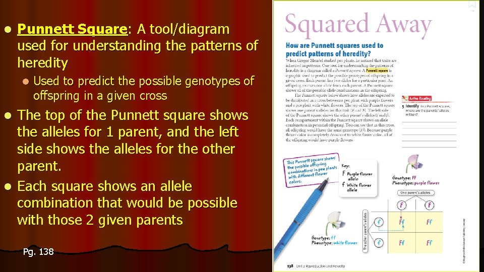 l Punnett Square: A tool/diagram used for understanding the patterns of heredity l Used