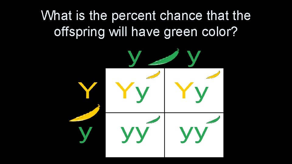 What is the percent chance that the offspring will have green color? 