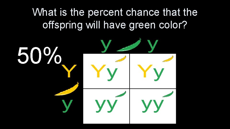 What is the percent chance that the offspring will have green color? 50% 