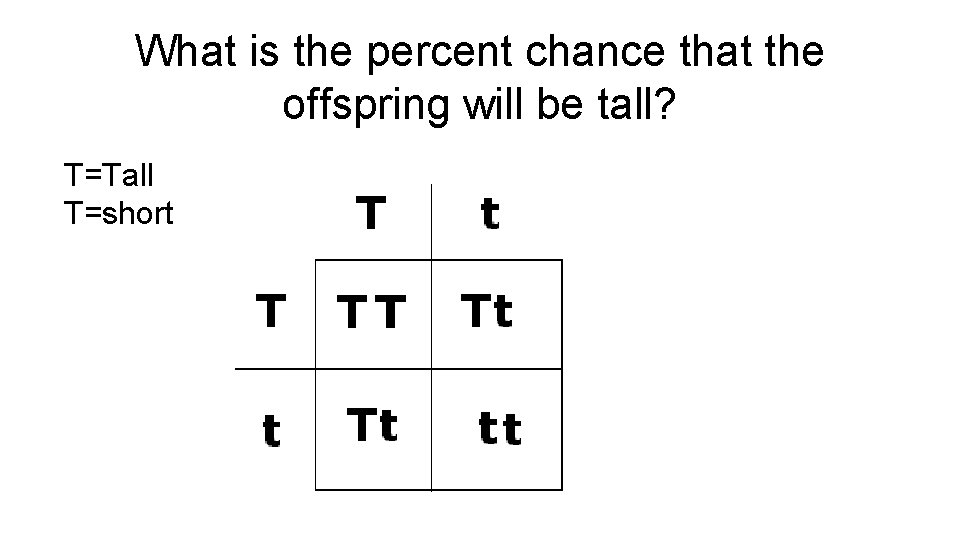 What is the percent chance that the offspring will be tall? T=Tall T=short 