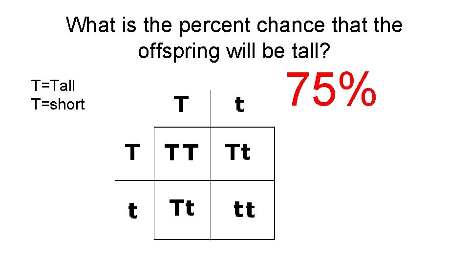 What is the percent chance that the offspring will be tall? T=Tall T=short 75%