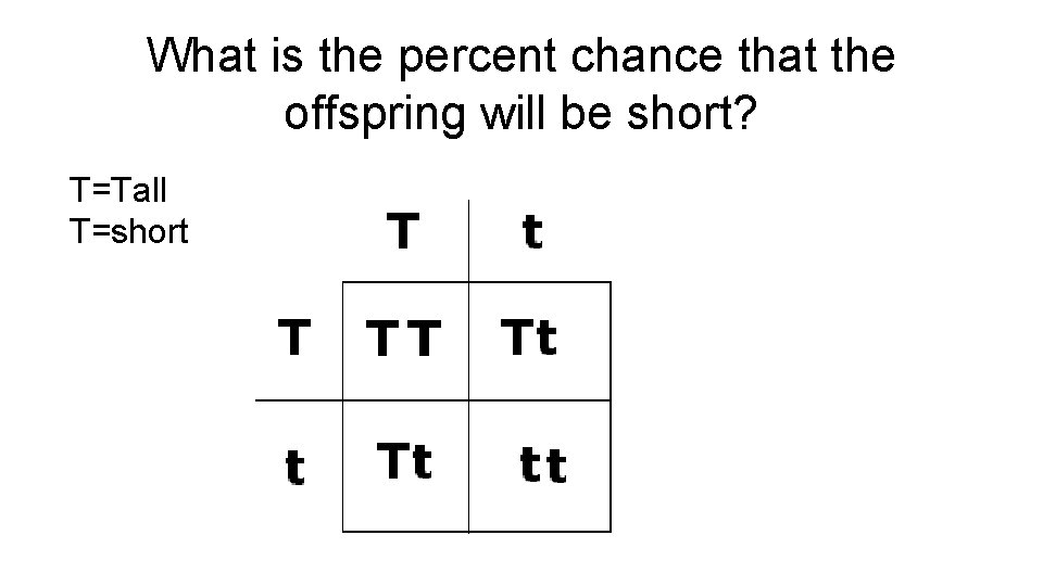 What is the percent chance that the offspring will be short? T=Tall T=short 