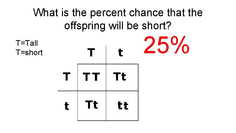 What is the percent chance that the offspring will be short? T=Tall T=short 25%