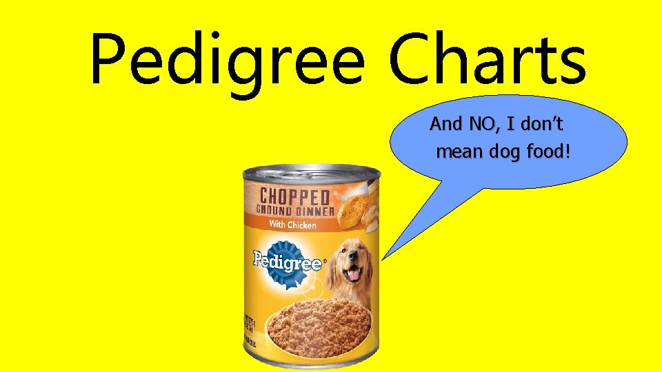 Pedigree Charts And NO, I don’t mean dog food! 