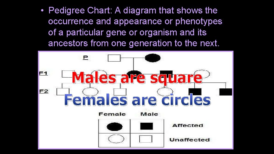  • Pedigree Chart: A diagram that shows the occurrence and appearance or phenotypes