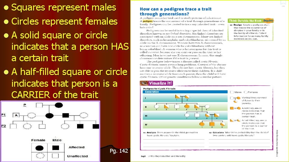 l Squares represent males l Circles represent females l A solid square or circle