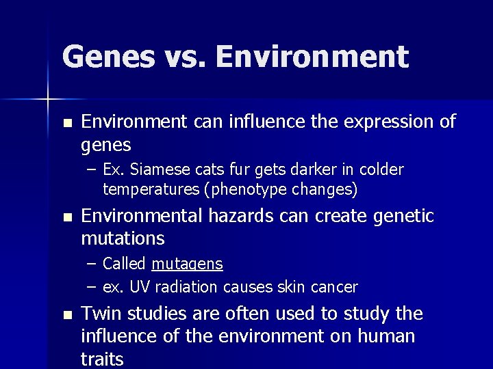 Genes vs. Environment n Environment can influence the expression of genes – Ex. Siamese