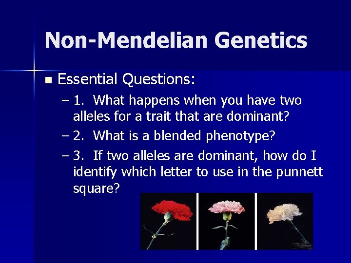 Non-Mendelian Genetics n Essential Questions: – 1. What happens when you have two alleles