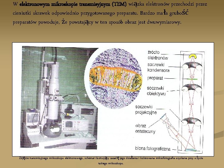W elektronowym mikroskopie transmisyjnym (TEM) wiązka elektronów przechodzi przez cieniutki skrawek odpowiednio przygotowanego preparatu.