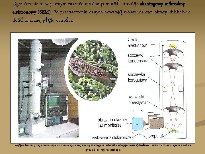 Ograniczenie to w pewnym zakresie można pominąć, stosując skaningowy mikroskop elektronowy (SEM). Po przetworzeniu