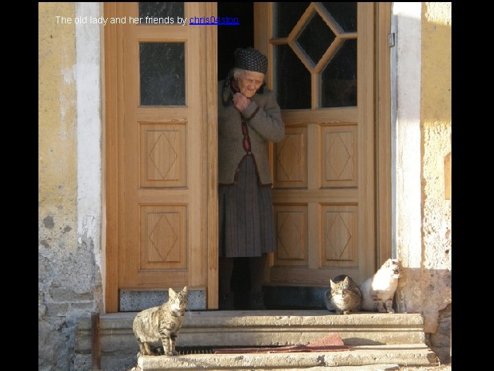 The old lady and her friends by chris 04 stop 