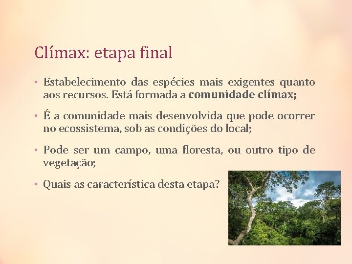 Clímax: etapa final • Estabelecimento das espécies mais exigentes quanto aos recursos. Está formada