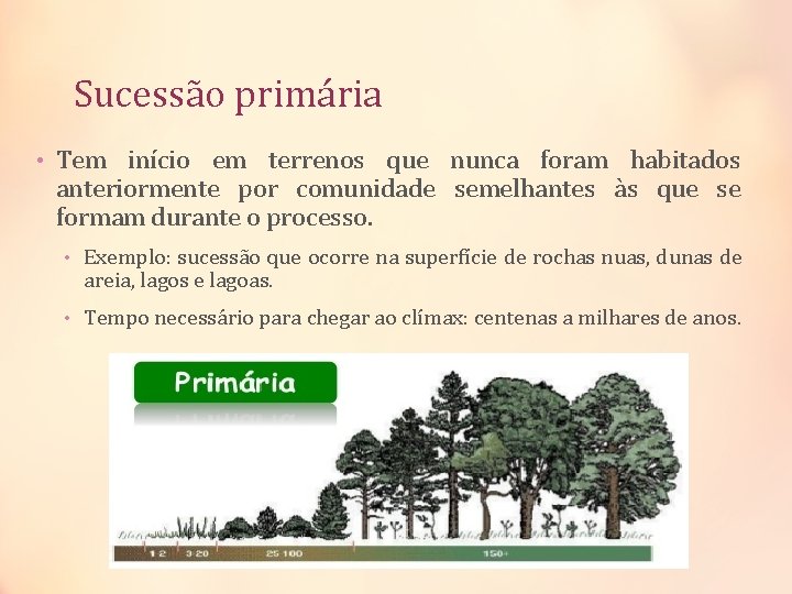 Sucessão primária • Tem início em terrenos que nunca foram habitados anteriormente por comunidade