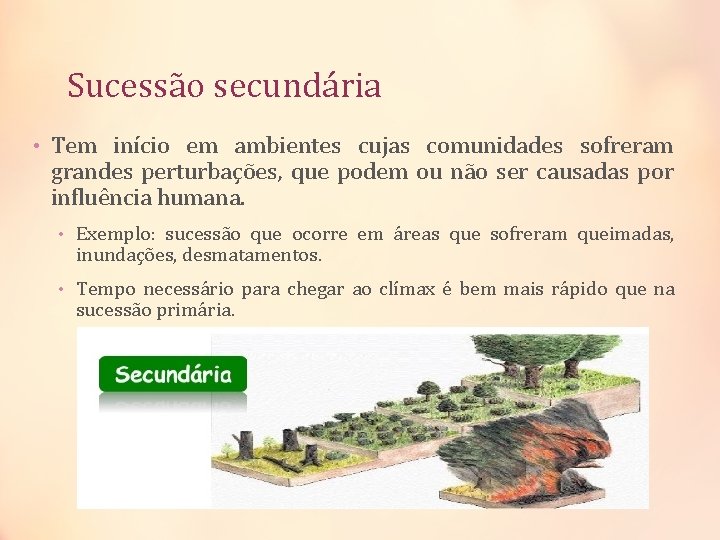 Sucessão secundária • Tem início em ambientes cujas comunidades sofreram grandes perturbações, que podem