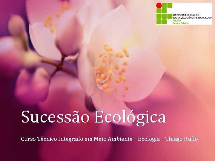 Sucessão Ecológica Curso Técnico Integrado em Meio Ambiente – Ecologia – Thiago Ruffo Sucessão Ecológica Curso Técnico Integrado em Meio Ambiente – Ecologia – Thiago Ruffo