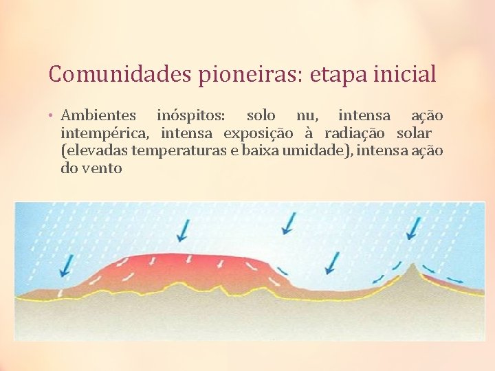 Comunidades pioneiras: etapa inicial • Ambientes inóspitos: solo nu, intensa ação intempérica, intensa exposição Comunidades pioneiras: etapa inicial • Ambientes inóspitos: solo nu, intensa ação intempérica, intensa exposição