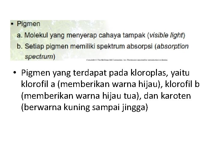  • Pigmen yang terdapat pada kloroplas, yaitu klorofil a (memberikan warna hijau), klorofil