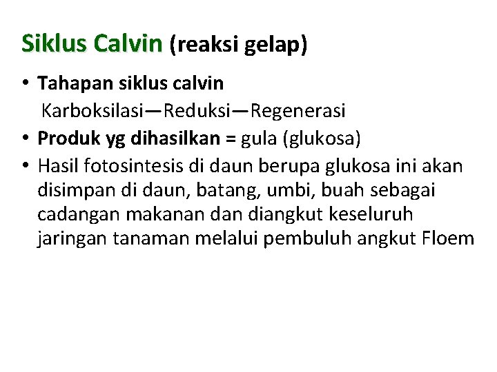 Siklus Calvin (reaksi gelap) • Tahapan siklus calvin Karboksilasi—Reduksi—Regenerasi • Produk yg dihasilkan =