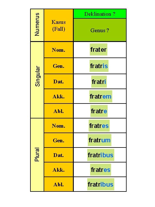 Numerus Singular Plural Deklination ? Kasus (Fall) Genus ? Nom. frater Gen. fratris Dat.