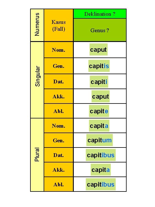 Numerus Singular Plural Deklination ? Kasus (Fall) Genus ? Nom. caput Gen. capitis Dat.