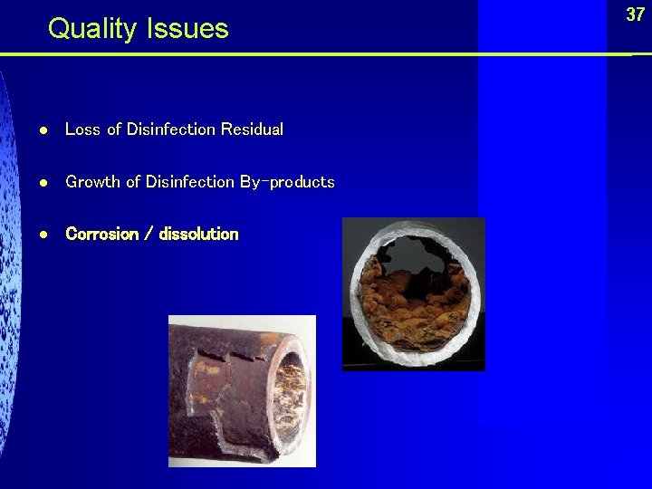  Quality Issues l Loss of Disinfection Residual l Growth of Disinfection By-products l