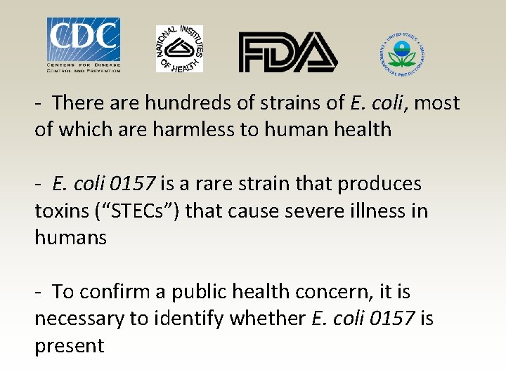 - There are hundreds of strains of E. coli, most of which are harmless - There are hundreds of strains of E. coli, most of which are harmless